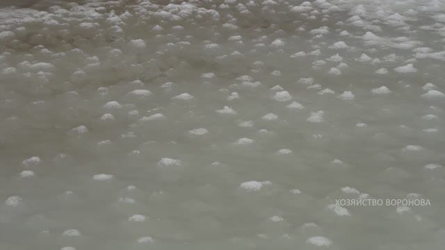 На замёрзшем пруду странные холмики. Известкую водоём с рыбой смотреть онлайн