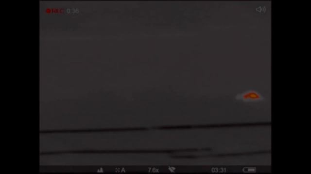 Охотимся ночью на волков прямо на Ранчо/ Деревенские будни фермера смотреть онлайн