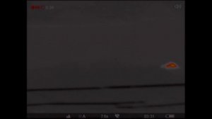 Охотимся ночью на волков прямо на Ранчо/ Деревенские будни фермера