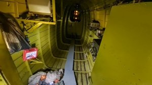 Прыгнули с Алиной с парашюта второй раз/ Фестиваль парашютного спорта 2022/ Парашютный спорт