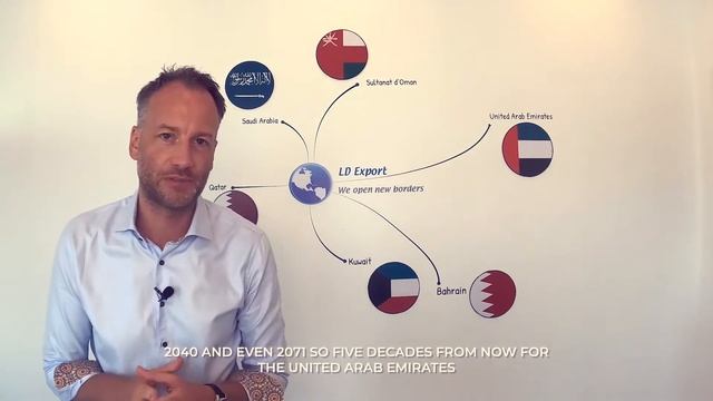 How to expand your Business in the Middle East [ 2021 LD EXPORT Guide ] смотреть онлайн