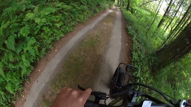 Engwe L20 Review: Cheap Utility E-Bike