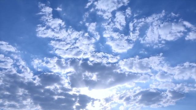 12 лет назад я НАШЛА под деревом КРОШЕЧНУЮ девочку. Я ее УДОЧЕРИЛА, хотя мне тогда было УЖЕ 53 года