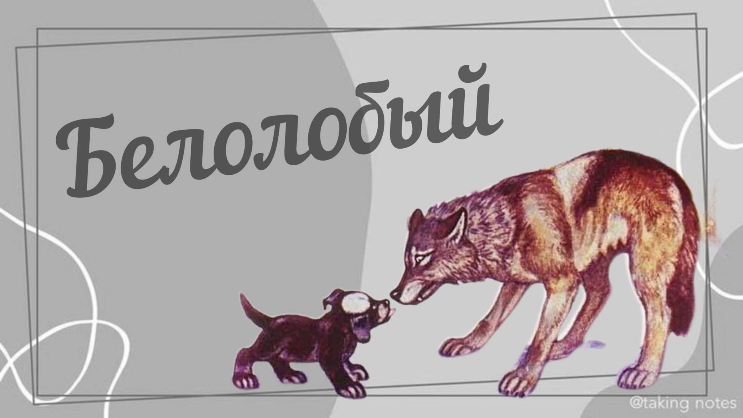 Белолобый