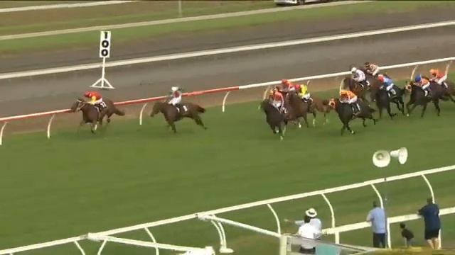 2023 ARC 🇳🇿 PUKEKOHE Karaka MILLION TWO YEAR OLD Classic смотреть онлайн