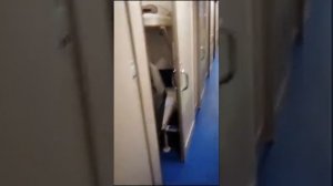 Бархатный путь. 028Ч Москва — Симферополь. Арки.Ст.Керчь Южная.