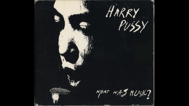 Harry Pussy - What Was Music? (1996) смотреть онлайн