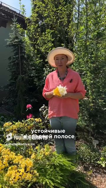 Где можно сажать РОДОДЕНДРОНЫ?! смотреть онлайн