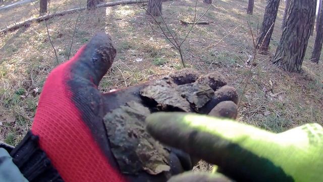 Коп у болоті кримінальчик