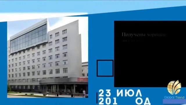 Патенты,международные сертификаты Компании Глобал тренд 👍👍 смотреть онлайн