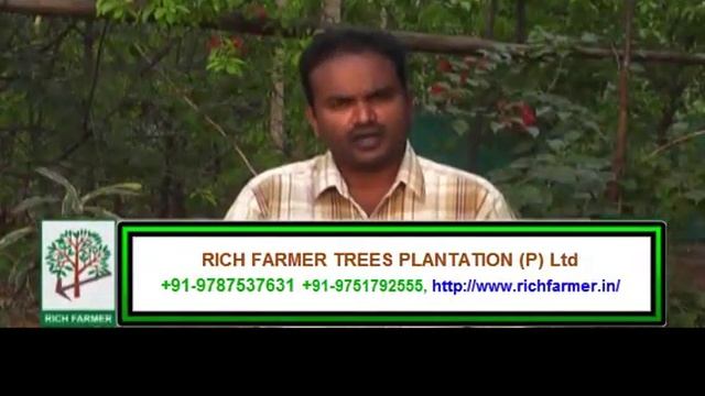 Kumil (White Teak) Tree Plantation - Part 1 смотреть онлайн