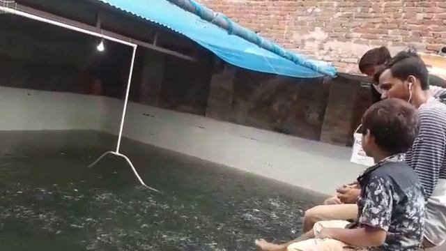 My new Biofloc fish farming setup. Simple review. Gahari ru mach r babe - 9706726993 смотреть онлайн