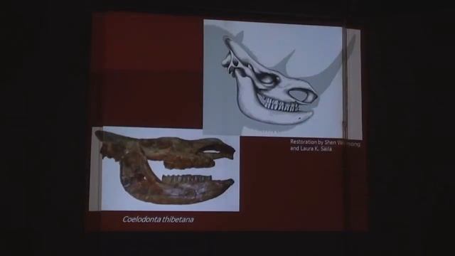 Red Rock Canyon 2011 Part 2 смотреть онлайн