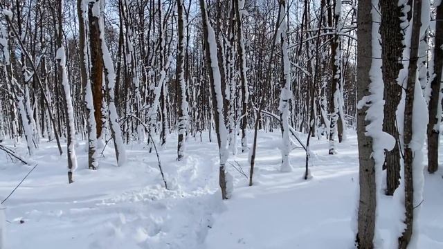 Обращение к подписчикам/Отвечаю на Важные Вопросы/Ранчо на Урале смотреть онлайн