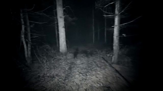 ЖУТКИЙ НЕЧЕЛОВЕК ЗА ДЕРЕВОМ? ВЕДЬМА НА ВИДЕО, СТРАННЫЕ СУЩЕСТВА НА КАМЕРУ смотреть онлайн