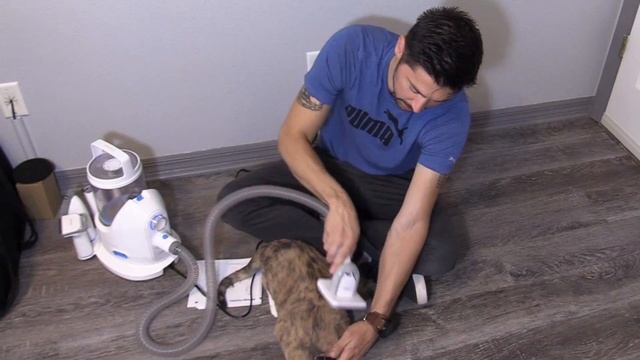 How to use Pet Grooming vac Neakasa P2 Pro Vacuum смотреть онлайн