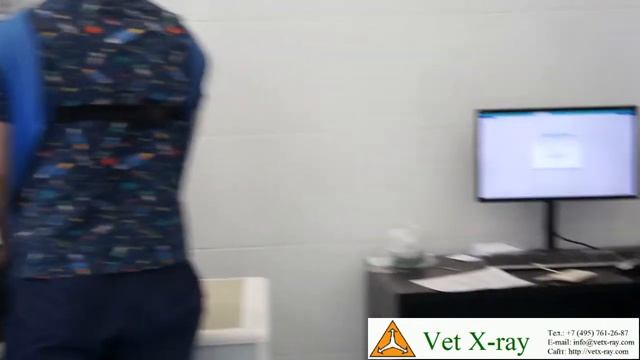 Рентгенография груди собаки аппаратом SYP-5 и НЦ-01 приемником