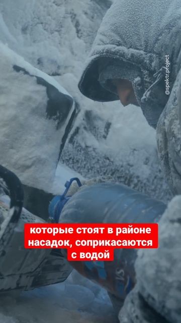 Самая редкая профессия в мире #спектр #якутия #интервью #shorts смотреть онлайн