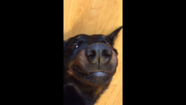 Кайфушечки смотреть онлайн