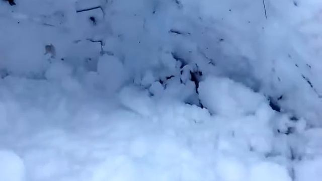 ! Построил ФОРТ из СНЕГ А ! смотреть онлайн