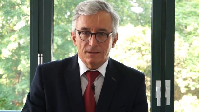 Doing Business in/with China: What has happened with Chinese foreign direct investment? смотреть онлайн