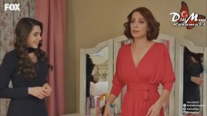 Номер 309 24 серия