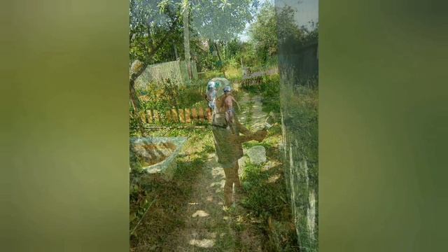 Дачные фотографии 2018 год смотреть онлайн
