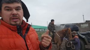 Как происходит быстрая заездка Башкирского жеребца | Ищем и гоним Аборигенных лошадей в хозяйство