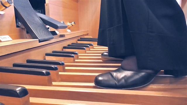 Anne Horsch plays: Robert Schumann: Der Vogel als Prophet, transcribed for organ by Lionel Rogg смотреть онлайн