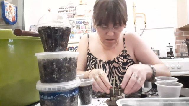 Огород Зовёт 😁😁😁🤏🤏🤏 смотреть онлайн