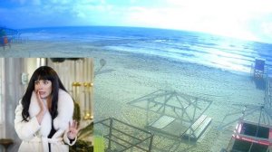 ЗАПРЕТНЫЙ ПЛОД 88 СЕРИЯ РУССКАЯ ОЗВУЧКА (4 сезон)