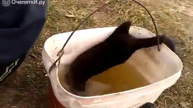 закуску смотреть онлайн