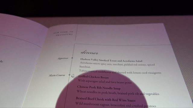 Singapore Airlines Business Class - A380 Trip Report смотреть онлайн