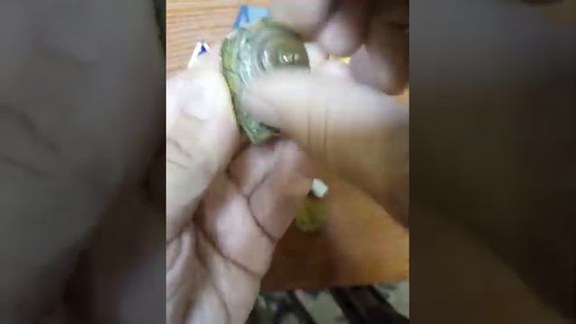 Купил редкие и дорогие знаки СССР!
