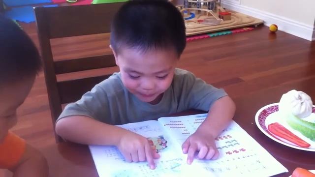 Nolan read Chinese text book 1 смотреть онлайн