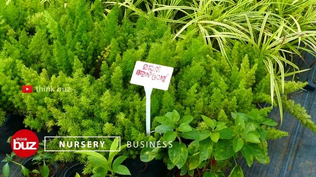 നഴ്സറി ബിസിനസ്സിലൂടെ എങ്ങനെ വരുമാനം നേടാം Nursery Business in Kerala_About Plant Nursery Business. смотреть онлайн