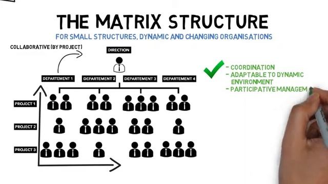 COMPANY STRUCTURE