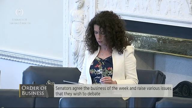 Senator Aisling Dolan- speech from 8 Mar 2021 смотреть онлайн