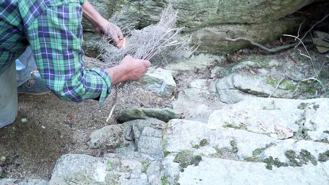 Μπακαλιάρος πλακί με σέσκουλα στο χαμένο δάσος της Ικαρίας | Μαγειρική στη φύση | #DoStathi смотреть онлайн