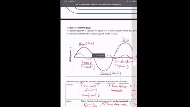 IGCSE Business: Government Objectives and Policies (Part 2) смотреть онлайн