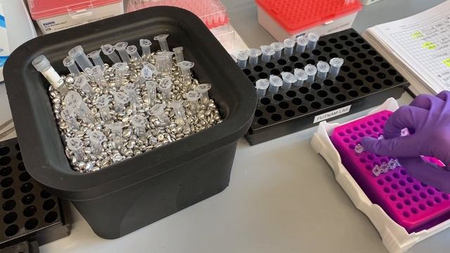 Pico Methyl Seq 2nd Amplification смотреть онлайн