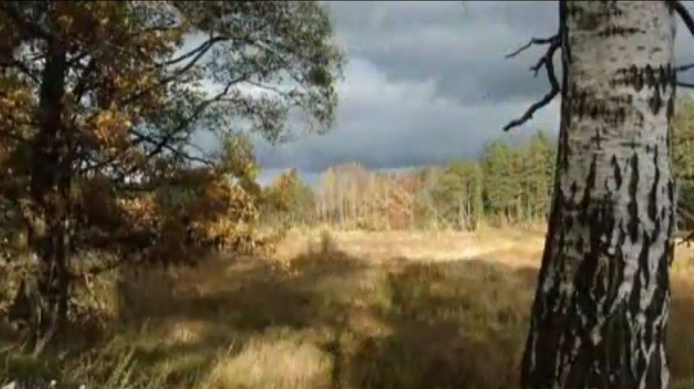 Октябрь - October