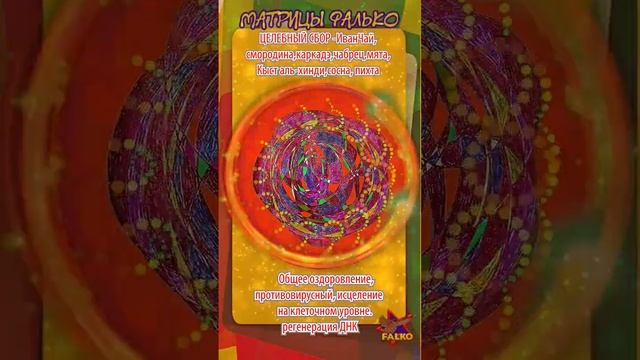 ЦЕЛЕБНЫЙ СБОР 1. HEALING COLLECTION 1.