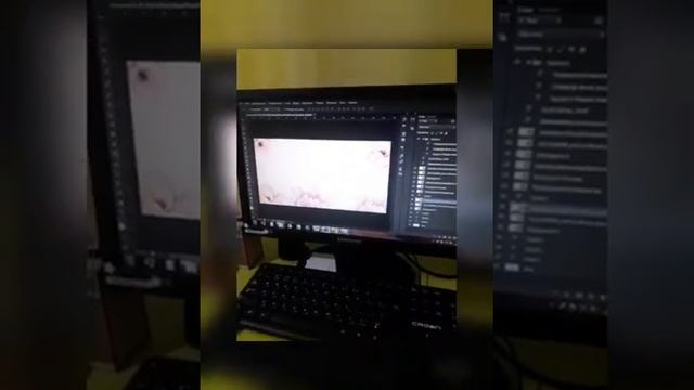 "Дизайн" мамандығының 3 курс студенті Казиева Сабина шығармашылық практикадан өтуде смотреть онлайн