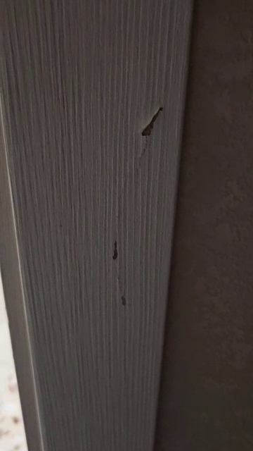 Жизнь в городе. Дайте совет. Кучу видео пересмотрела но не то