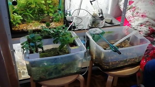 Наконец-то поменял грунт смотреть онлайн