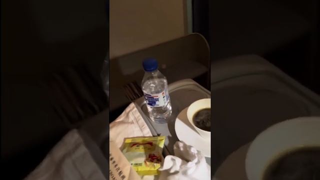 China Southern Airlines - Business Class But Economy Class Meal