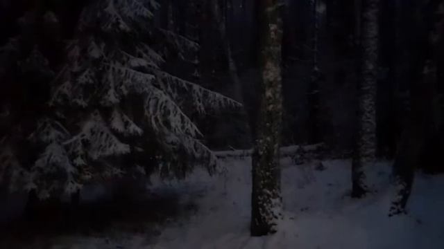 На закате первого зимнего дня...Истринский район.1 декабря 2020 г. смотреть онлайн