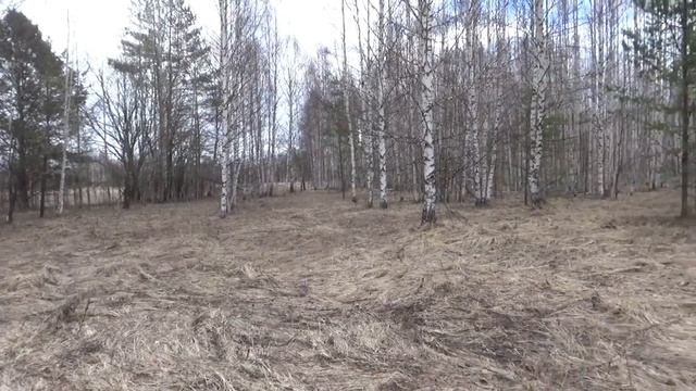 Поиск металла. смотреть онлайн