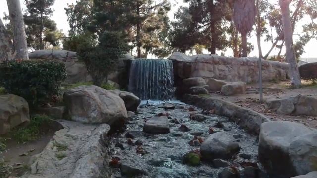 Que Será, Será (Whatever Will Be, Will Be)